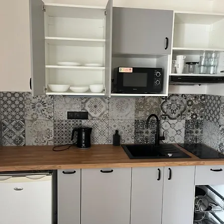 公寓 Apartmany Ruzova Ruzova