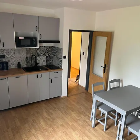 Apartmany Ruzova شقة