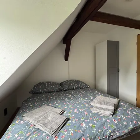 公寓 Apartmany Ruzova Ruzova