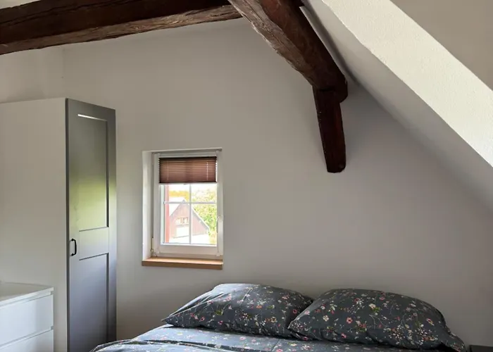 Apartmany Ruzova Apartment *